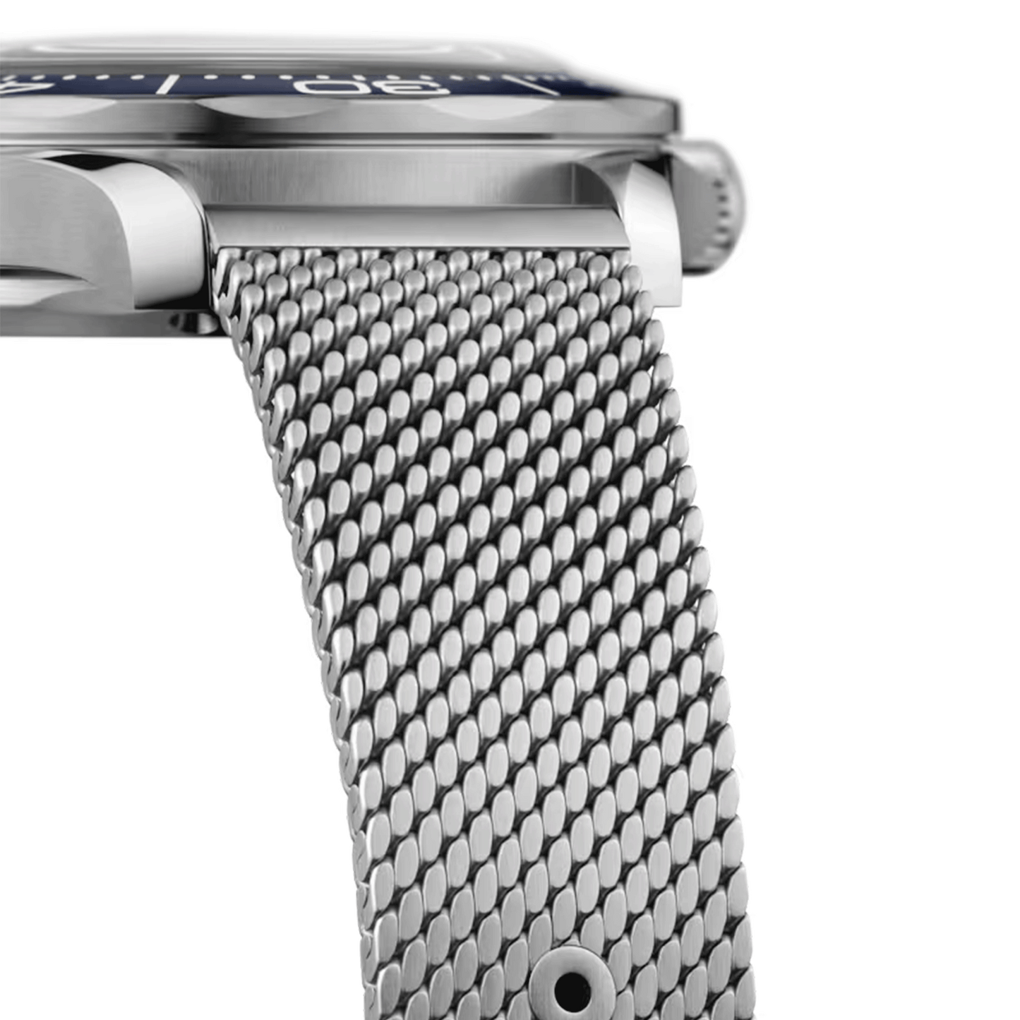Omega Seamaster Diver
